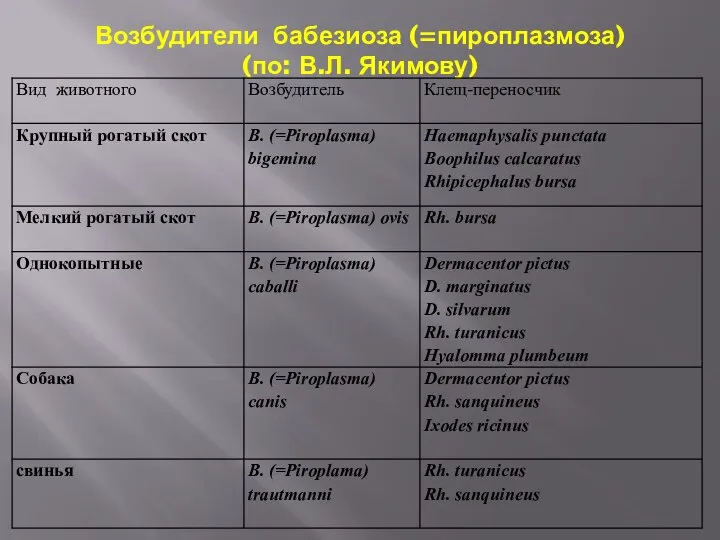 Возбудители бабезиоза (=пироплазмоза) (по: В.Л. Якимову)