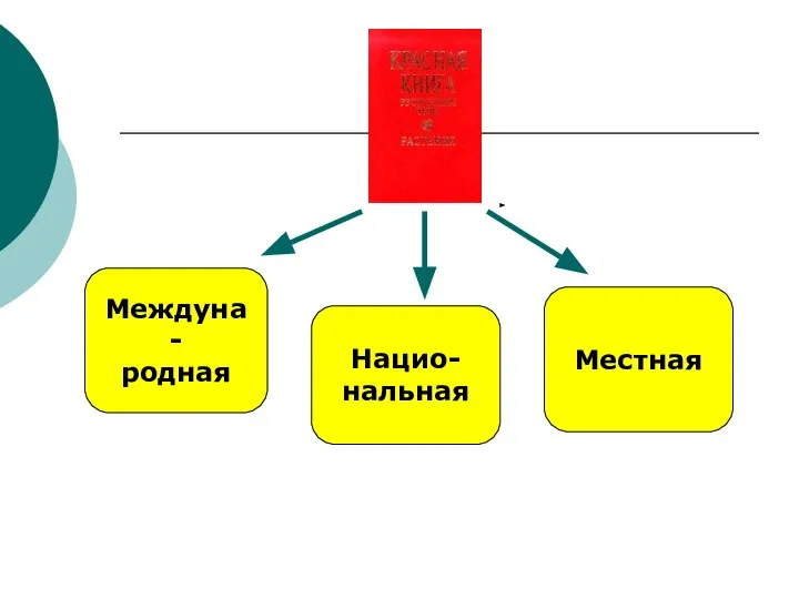 Междуна- родная Нацио- нальная Местная