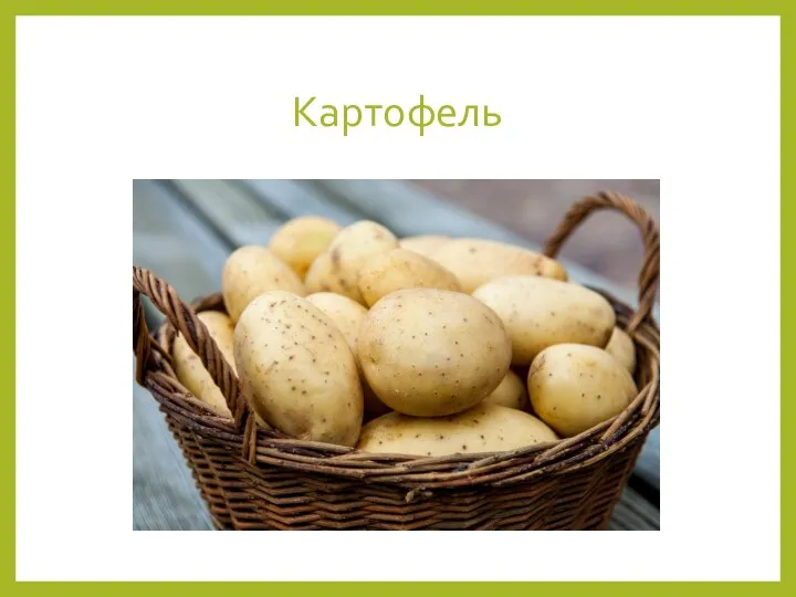 Картофель