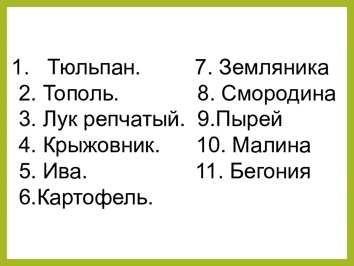 Тюльпан. 7. Земляника 2. Тополь. 8. Смородина 3. Лук репчатый. 9.Пырей 4.