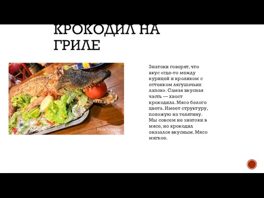 КРОКОДИЛ НА ГРИЛЕ Знатоки говорят, что вкус «где-то между курицей и кроликом