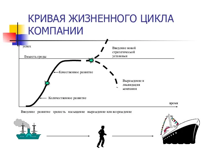 КРИВАЯ ЖИЗНЕННОГО ЦИКЛА КОМПАНИИ Введение развитие зрелость насыщение вырождение или возрождение успех