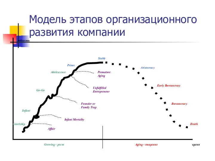 Модель этапов организационного развития компании