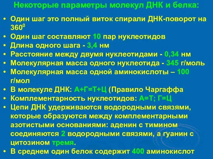 Некоторые параметры молекул ДНК и белка: Один шаг это полный виток спирали