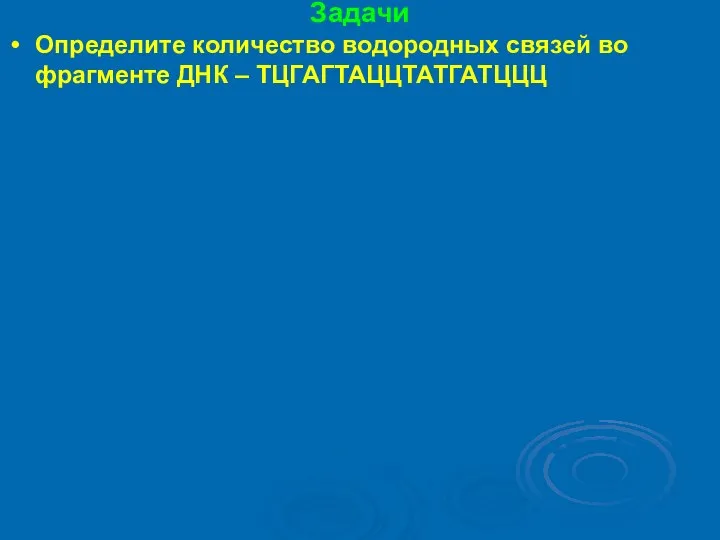 Задачи Определите количество водородных связей во фрагменте ДНК – ТЦГАГТАЦЦТАТГАТЦЦЦ