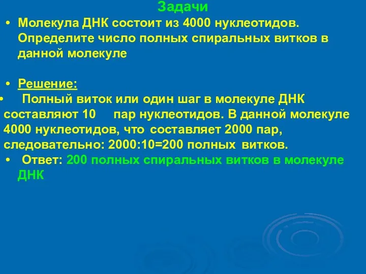 Задачи Молекула ДНК состоит из 4000 нуклеотидов. Определите число полных спиральных витков