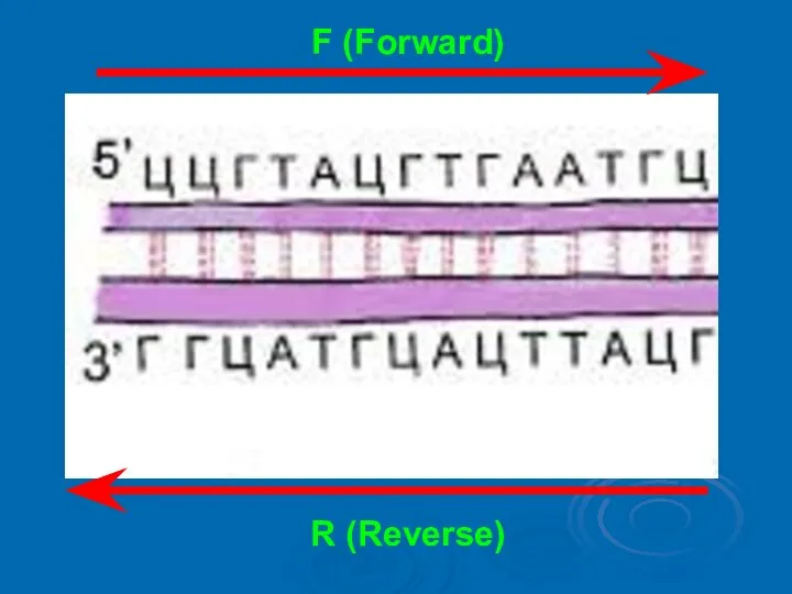 F (Forward) R (Reverse)