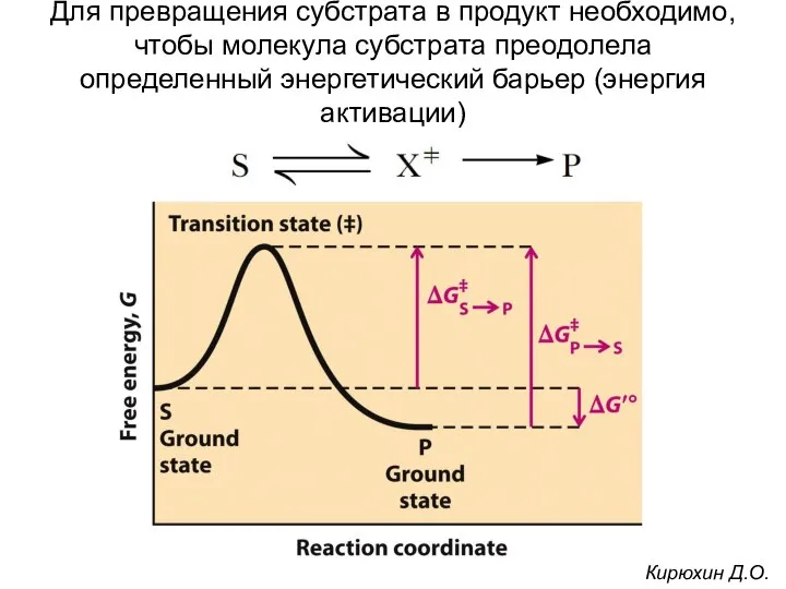 Для превращения субстрата в продукт необходимо, чтобы молекула субстрата преодолела определенный энергетический
