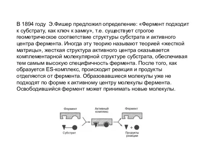 В 1894 году Э.Фишер предложил определение: «Фермент подходит к субстрату, как ключ