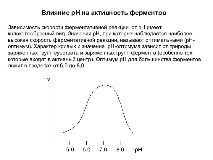Влияние pH на активность ферментов Зависимость скорости ферментативной реакции от рН имеет