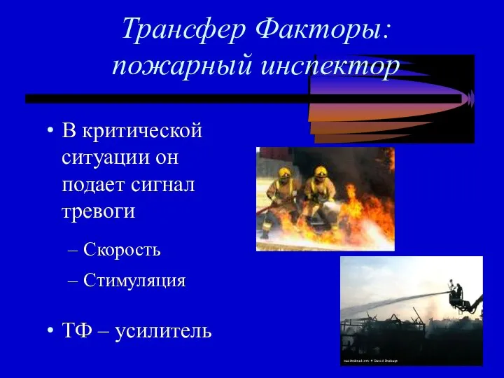 Трансфер Факторы: пожарный инспектор В критической ситуации он подает сигнал тревоги Скорость Стимуляция ТФ – усилитель