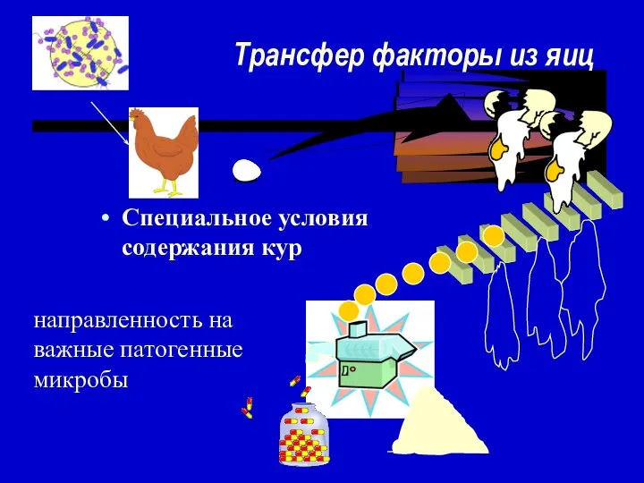 Трансфер факторы из яиц Специальное условия содержания кур направленность на важные патогенные микробы