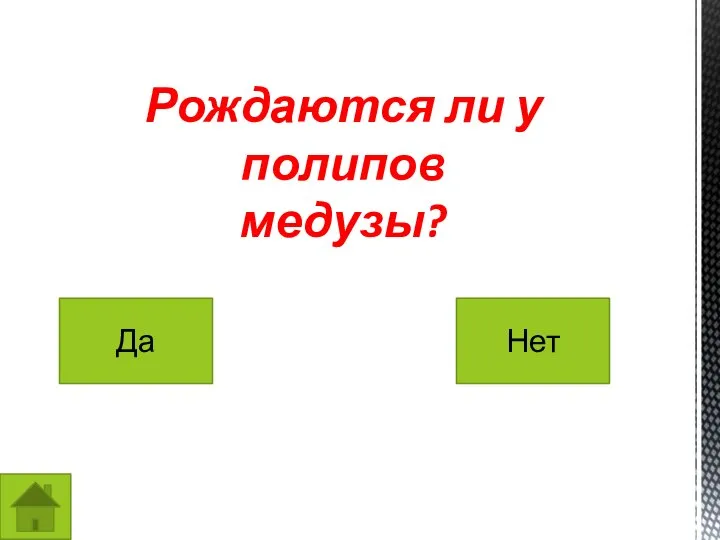 Рождаются ли у полипов медузы? Да Нет