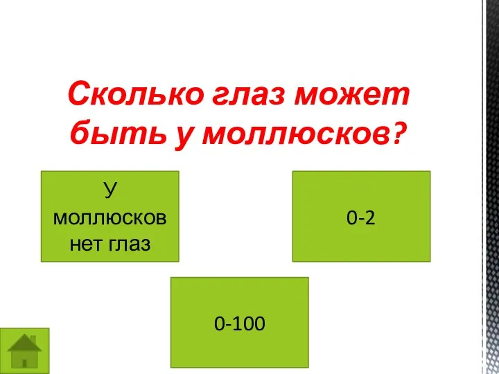 Сколько глаз может быть у моллюсков? У моллюсков нет глаз 0-2 0-100