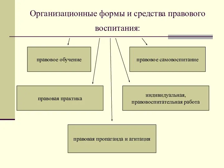 Организационные формы и средства правового воспитания: правовое обучение правовое самовоспитание правовая практика