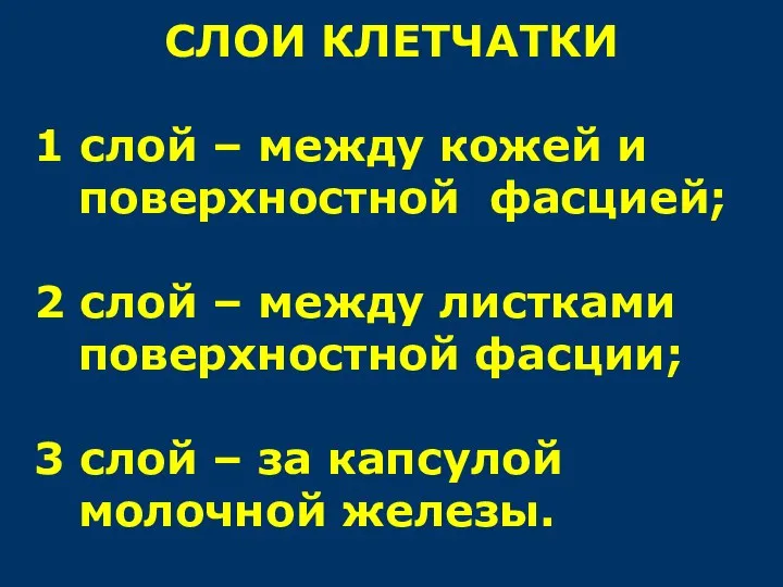 СЛОИ КЛЕТЧАТКИ 1 слой – между кожей и поверхностной фасцией; 2 слой