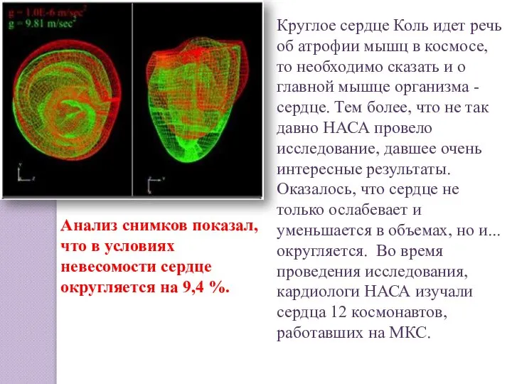 Круглое сердце Коль идет речь об атрофии мышц в космосе, то необходимо