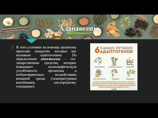 В этих условиях на помощь организму приходят лекарства, которые мы называем адаптогенами.