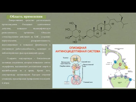 Область применения Лекарственное средство растительного происхождения. Оказывает адаптогенное действие, повышает неспецифическую резистентность