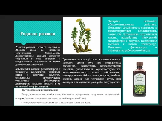 Родиола розовая Экстракт оказывает общетонизирующее действие. Повышает устойчивость организма к неблагоприятным воздействиям,