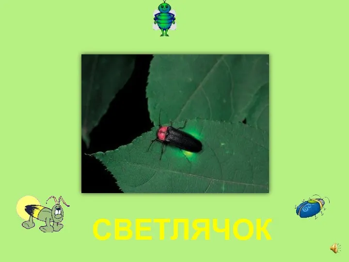 СВЕТЛЯЧОК