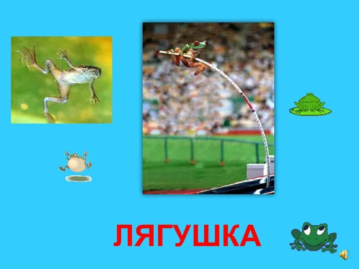 ЛЯГУШКА