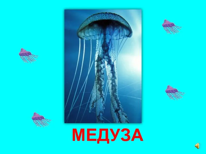 МЕДУЗА