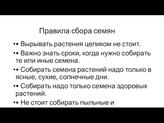 Правила сбора семян • Вырывать растения целиком не стоит. • Важно знать