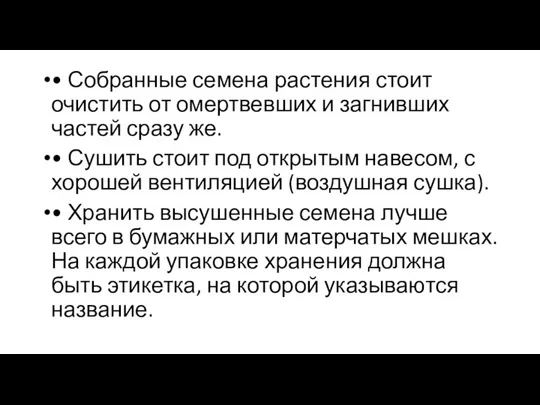 • Собранные семена растения стоит очистить от омертвевших и загнивших частей сразу