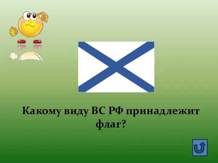 Какому виду ВС РФ принадлежит флаг?