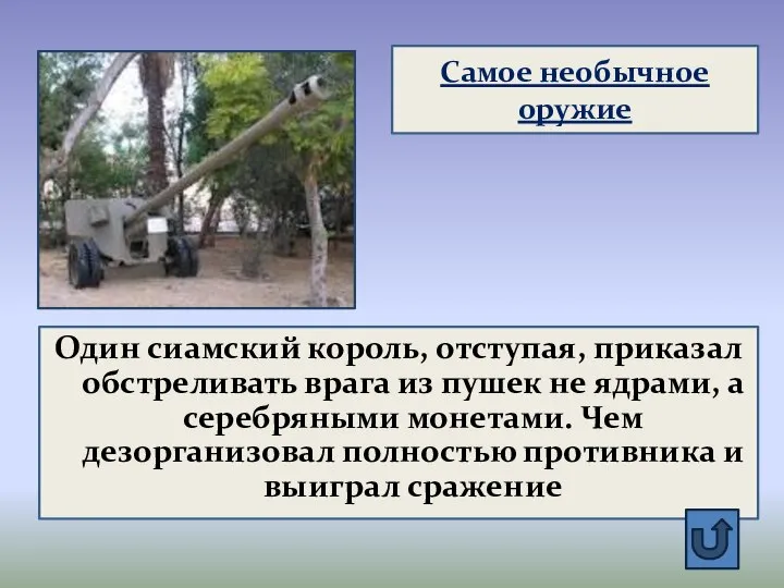 Самое необычное оружие Один сиамский король, отступая, приказал обстреливать врага из пушек