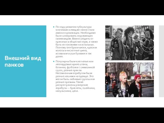 Внешний вид панков По ходу развития субкультуры ключевым в имидже панка стала