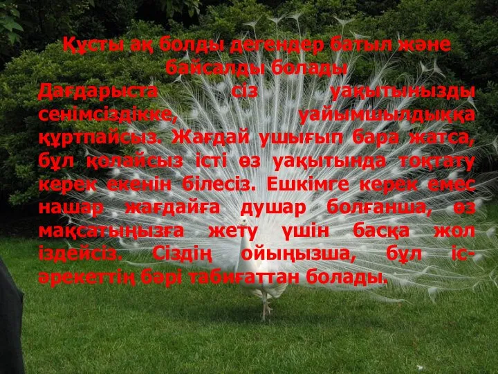 Құсты ақ болды дегендер батыл және байсалды болады Дағдарыста сіз уақытынызды сенімсіздікке,