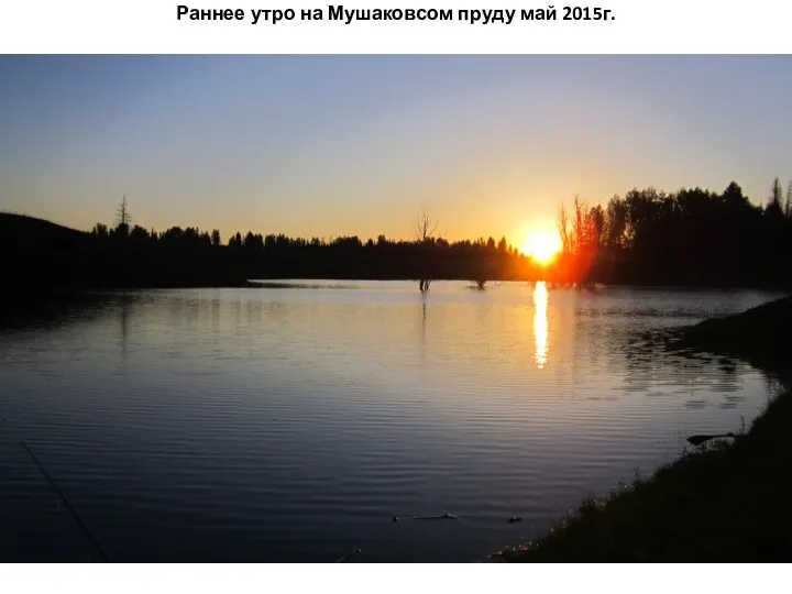 Раннее утро на Мушаковсом пруду май 2015г.