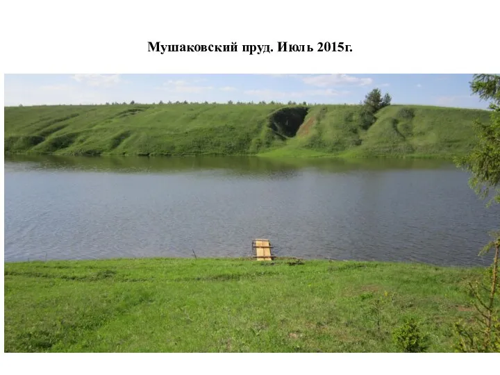 Мушаковский пруд. Июль 2015г.