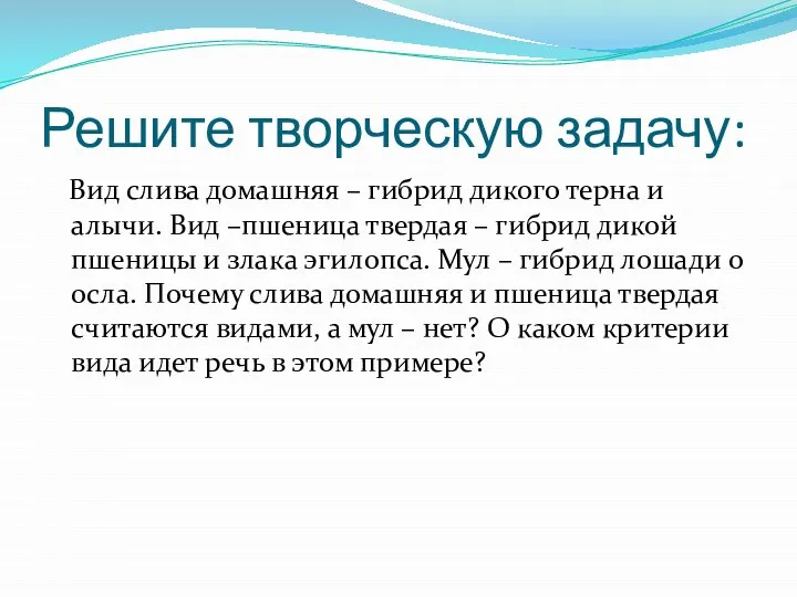 Решите творческую задачу: Вид слива домашняя – гибрид дикого терна и алычи.