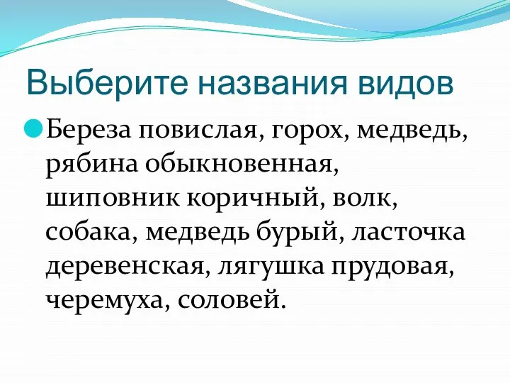 Выберите названия видов Береза повислая, горох, медведь, рябина обыкновенная, шиповник коричный, волк,