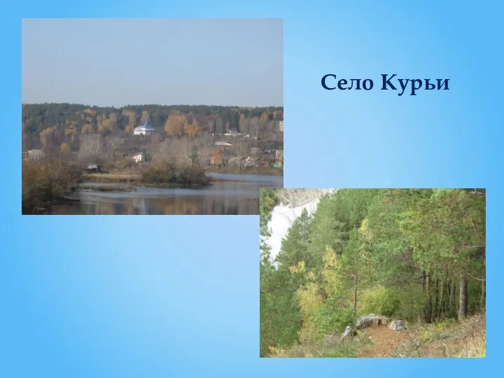 Село Курьи