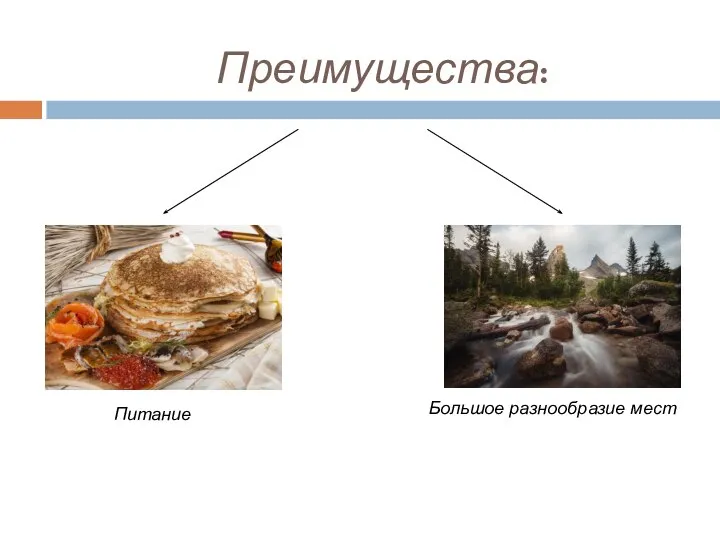 Преимущества: Большое разнообразие мест Питание