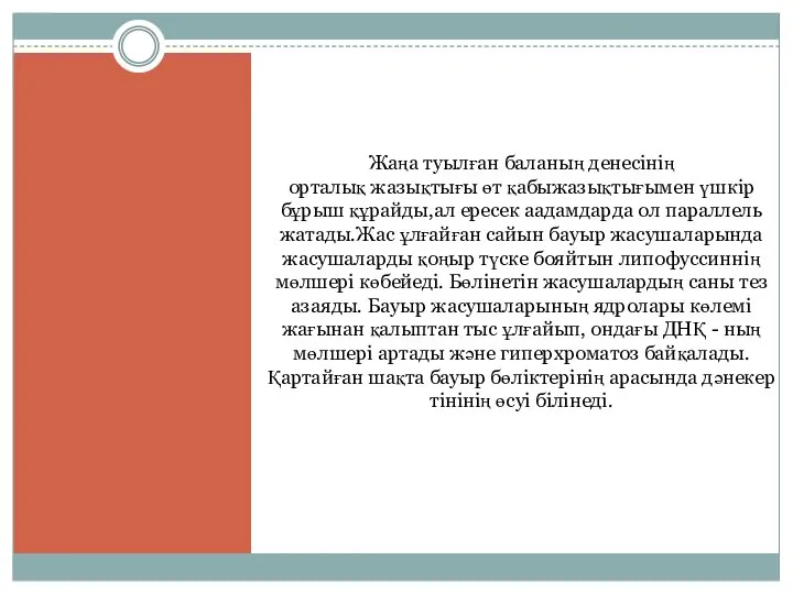 Жаңа туылған баланың денесінің орталық жазықтығы өт қабыжазықтығымен үшкір бұрыш құрайды,ал ересек