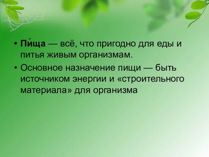 Пи́ща — всё, что пригодно для еды и питья живым организмам. Основное