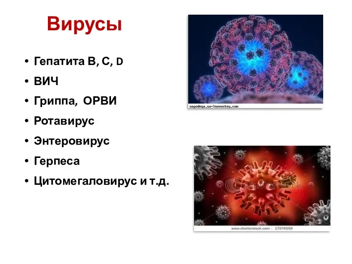 Вирусы Гепатита В, С, D ВИЧ Гриппа, ОРВИ Ротавирус Энтеровирус Герпеса Цитомегаловирус и т.д.