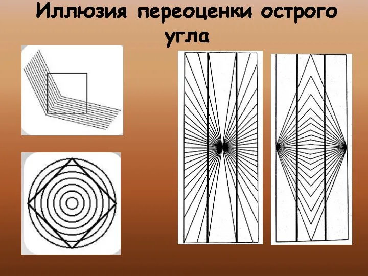 Иллюзия переоценки острого угла