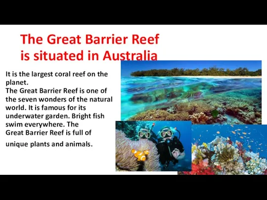 The Great Barrier Reef is situated in Australia It is the largest