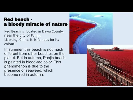 Red beach - a bloody miracle of nature Red Beach is located