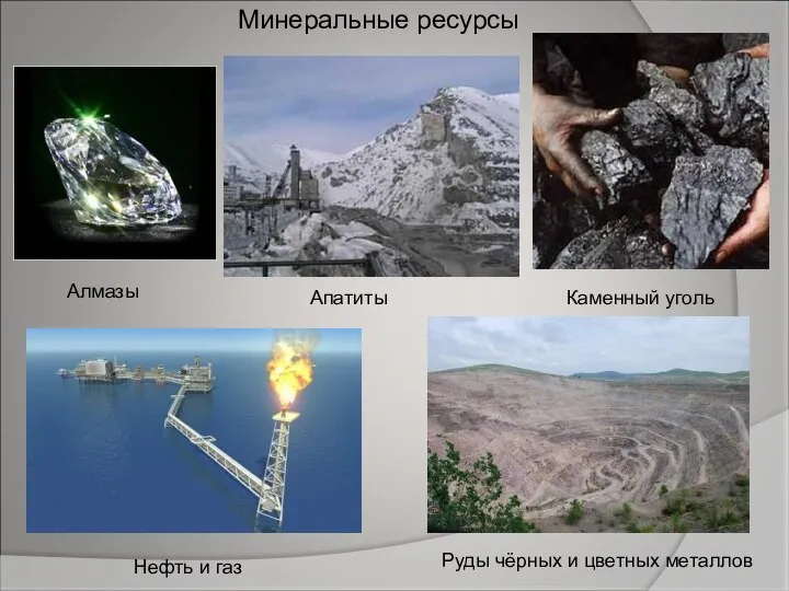 Минеральные ресурсы Алмазы Апатиты Каменный уголь Нефть и газ Руды чёрных и цветных металлов