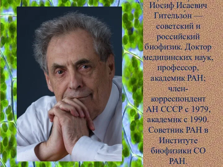 Ио́сиф Иса́евич Гительзо́н — советский и российский биофизик. Доктор медицинских наук, профессор,