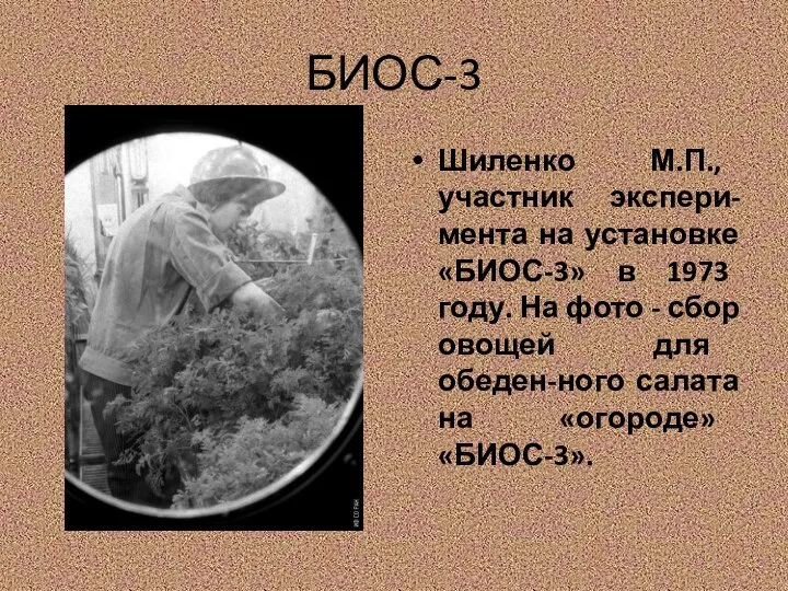 БИОС-3 Шиленко М.П., участник экспери-мента на установке «БИОС-3» в 1973 году. На