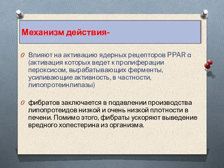 Влияют на активацию ядерных рецепторов PPAR α (активация которых ведет к пролиферации