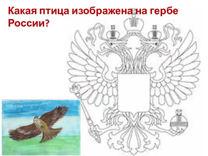 Какая птица изображена на гербе? Какая птица изображена на гербе России?